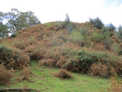 Gorostiko Gaina (499 m)