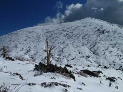 Torrecilla (1918 m)