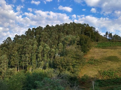 Zabaletagaña (360 m)