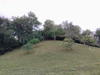 Allarraga (387 m)