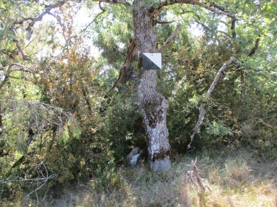 Ereta, Alto la (894 m)