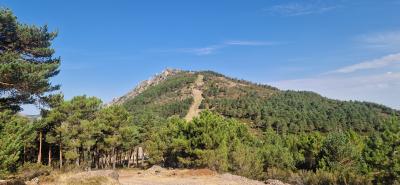 Ciervo E, Risco del (1416 m)