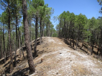 Valdepuercos, Alto de (1123 m)